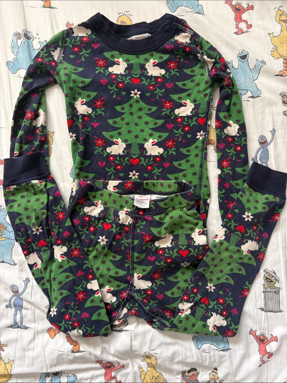 Hanna Andersson Scandinavian Forest Nature Pajama Set